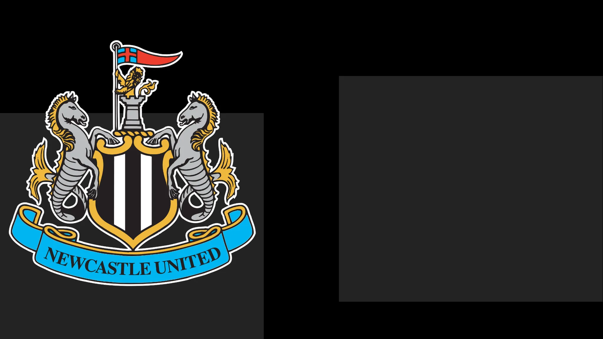 NUFC Extend Statement of Regret to Supporters Amid Matchday Issue