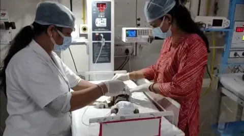 Baby Placed Alive in the Country Struggles for Survival