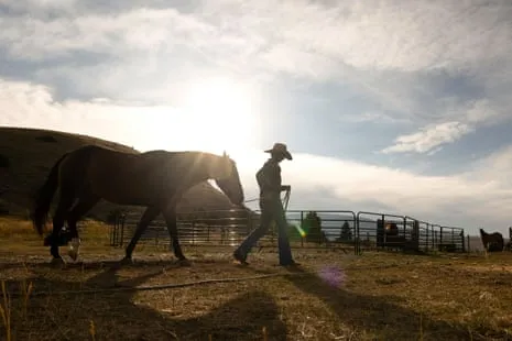 Meet the American Women Ranchers Reshaping Contemporary Farm Life