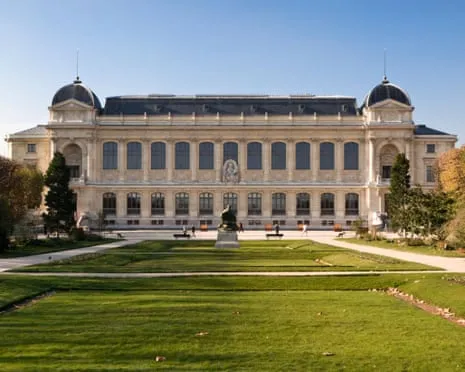 Historic Gold Specimens Stolen in Audacious Raid at France's Natural History Museum