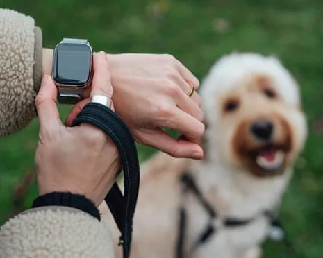 The Truth Concerning Fitness Trackers? Daily Existence Feels Fuller Lacking a Bossy Device on Your Wrist